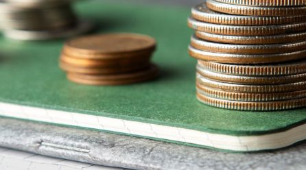 Overview of Senate FY24–25 State Budget